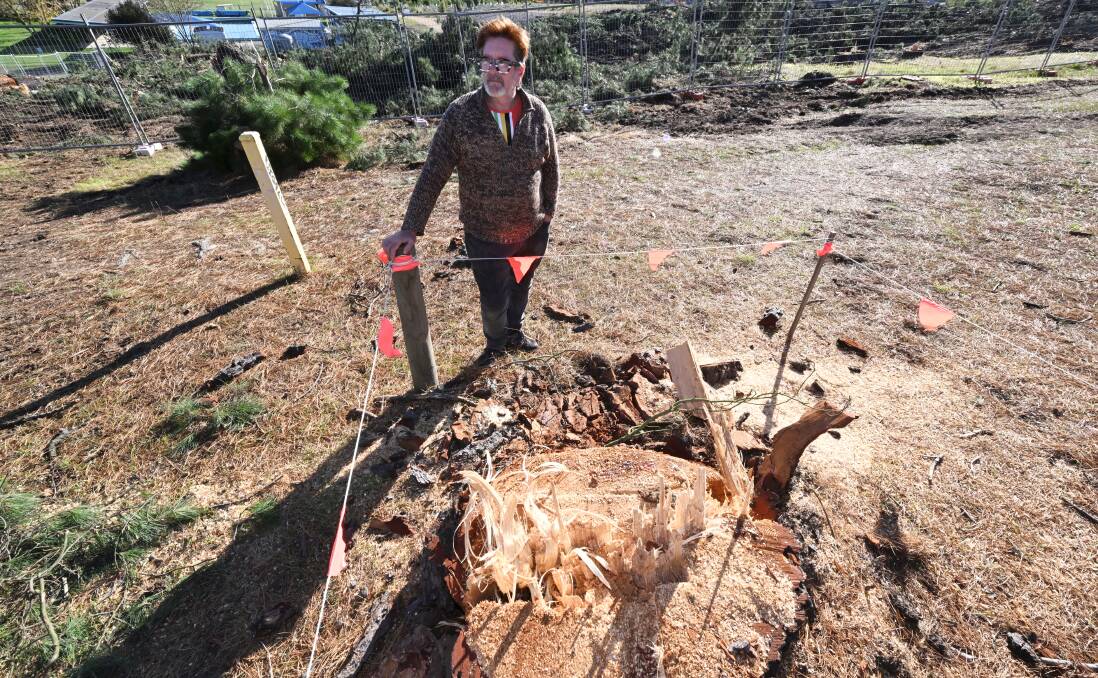 John Wrigglesworth standing next to the stump of a removed tree. Picture by Lachlan Bence