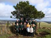 All 15 students of the school took part in the annual walk to the Lone Pine tree, donated by the Ballarat Legacy in 2005. Photo by Lachlan Bence