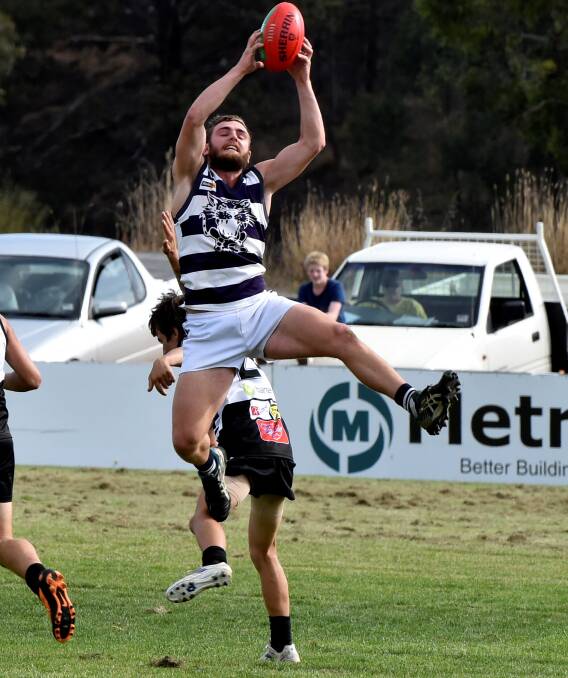 CUT ABOVE: Newlyn's Dan Wehrung leads the way in CHFL voting, sharing the lead with Smythesdale's Rylan Rattley. The pair have polled 22 votes each, five ahead of their nearest competitor: Picture: Jeremy Bannister.