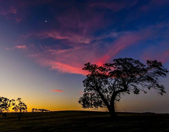 PHOTO OF THE DAY: @liz.draffin "#worldshotz #Ballarat #farmlife #onthefarm #australianlandscape #australia #Victoria #sunset #bopeep #landscape #nikon #nature #photography #photo #colours #liveauthentic #justgoshoot #inspireatlas #earth #outdoors #summer #colors #farm #countryside #sigma #tree #paddock #greatsouthernland"