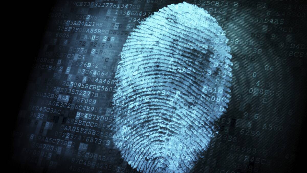 Fingerprints link man to a series of car thefts across Ballarat