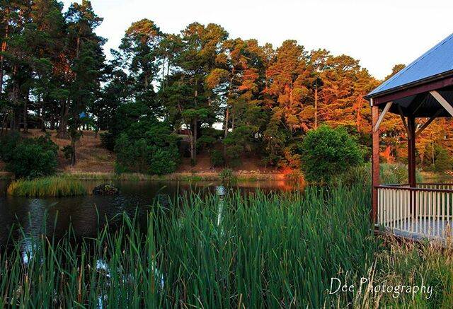 PHOTO OF THE DAY (don't forget to tag you photos with #ballaratpicoftheday): @1photo365days "Day 10 #parklake #creswick #discovervictoria #visitvictoria #photography #photooftheday #1photoaday #1photo365days #ballarat #daylesford"