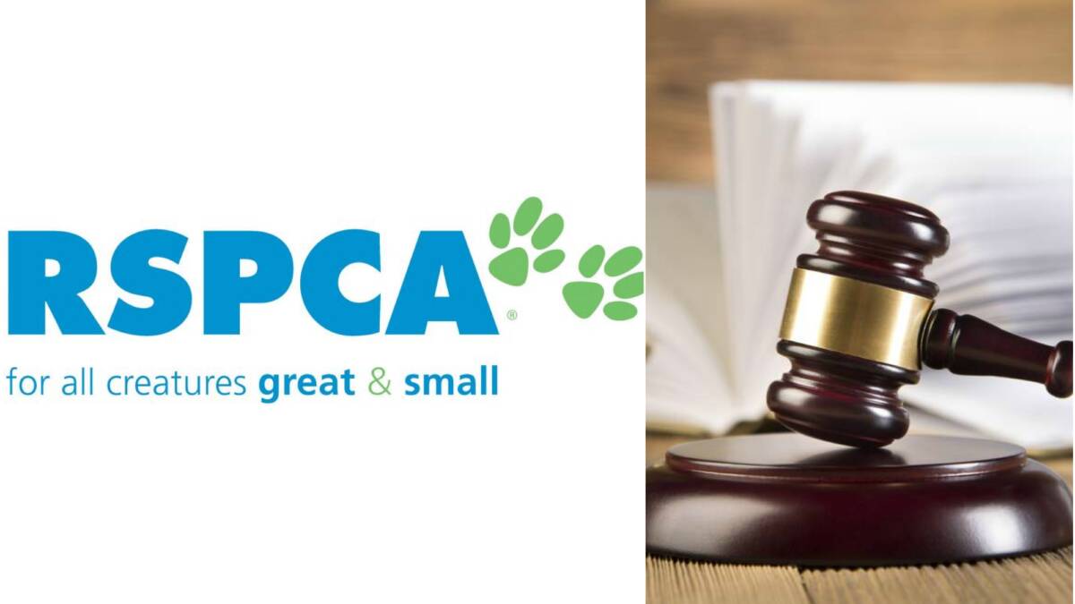 No jail for RSPCA attack
