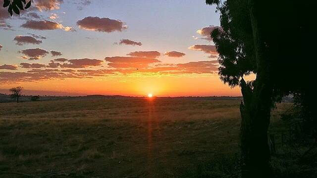 PIC OF THE DAY: @mathewchapple "#morning #sunrise driving back to #Ballarat this morning"