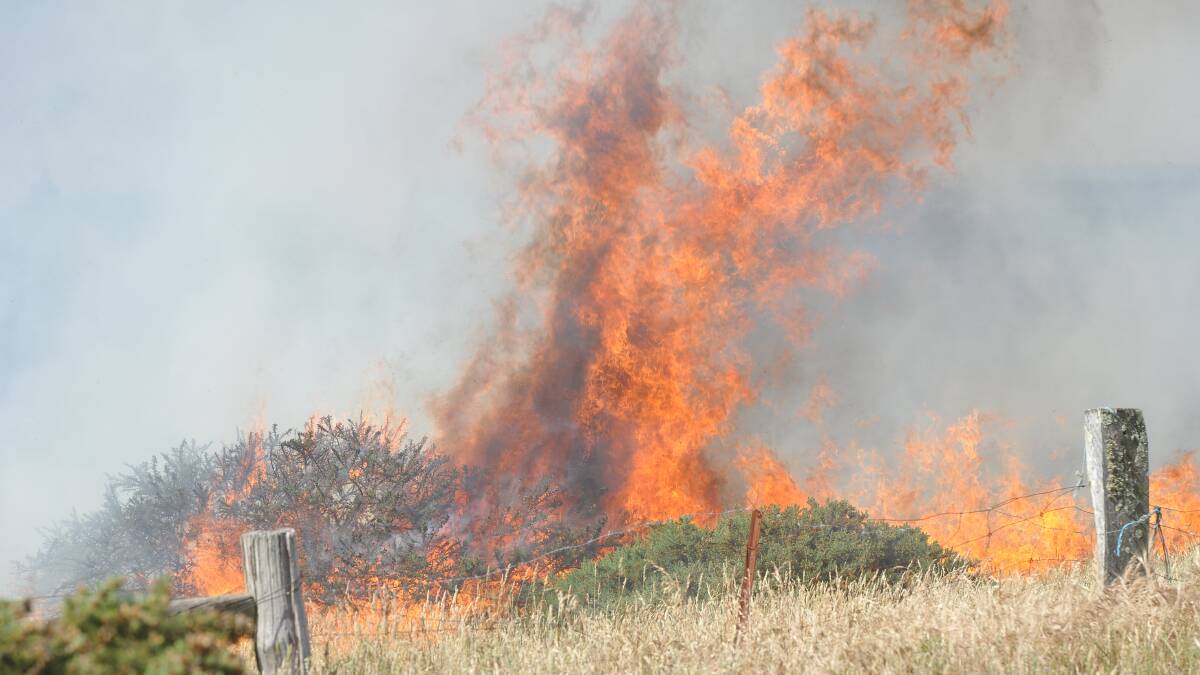 All hands on deck: Ballarat fire fighters combat a dangerous grass fire near Lucas. Picture: Lachlan Bence