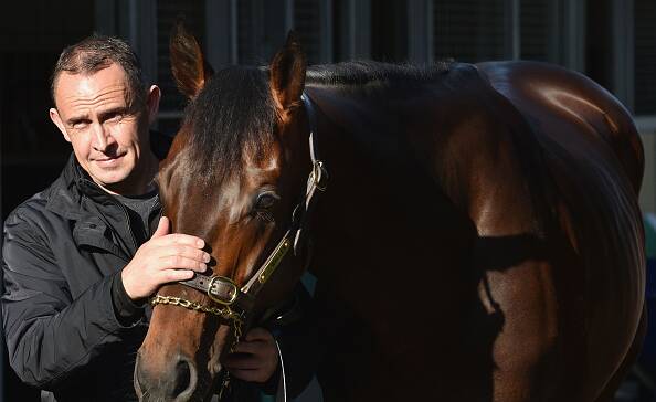 Trainer Chris Waller poses with Melbourne Cup runner Preferment after a trackwork session at Flemington Racecourse on October 30 this year.