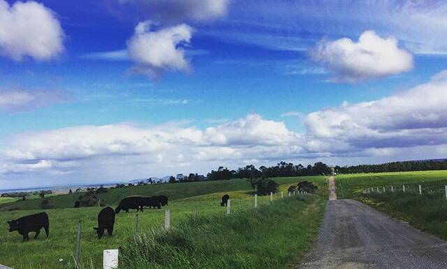 PHOTO OF THE DAY: @vesnapekoluketic "So much Sky :) Back home at Myrniong Victoria Australia 11.10.2016. This is photograph of our one kilometre driveway leading to our farmhouse. The house is situated on top of the hill, amongst the distant trees surrounded by free range chickens and cows. :) #mooraboolshire #ballarat #rurallife #ruralaustralia #theballaratlife #the_ballarat_life"