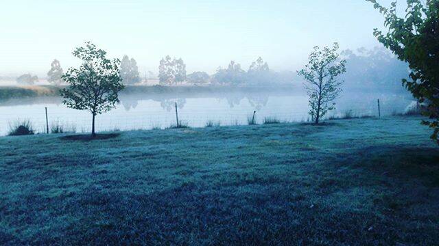 PIC OF THE DAY: @mika.shalders "Misty mornings...#mybackyard"