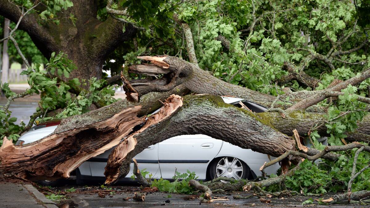 The SES has warned people not to park under trees in Ballarat. (File photo).