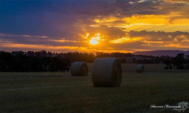 PIC OF THE DAY: @doona66_donna_ "#haybales #visitballarat #theballaratlife #ballarat #photography #ilovephotography #photography #sun #sunset #summer #sunrays #victoria #countryvictoria #australia #clouds #colourful"