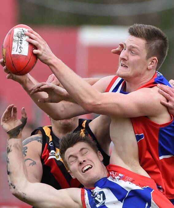 CLUNK: East Point's Jordan Staley takes a crunching pack mark over his Bacchus Marsh opponents and teammate Jesse Murphy. The Roos power forward finished with four goals. Picture: Lachlan Bence.
