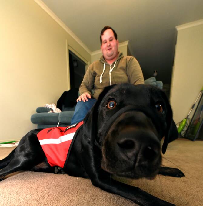Daily discrimination for Ben’s service dog