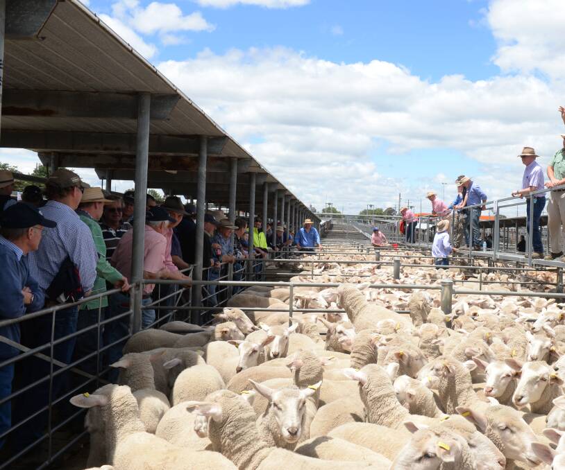 READY TO GO: Works at the new Ballarat saleyards Miners Rest site will begin early next year. 