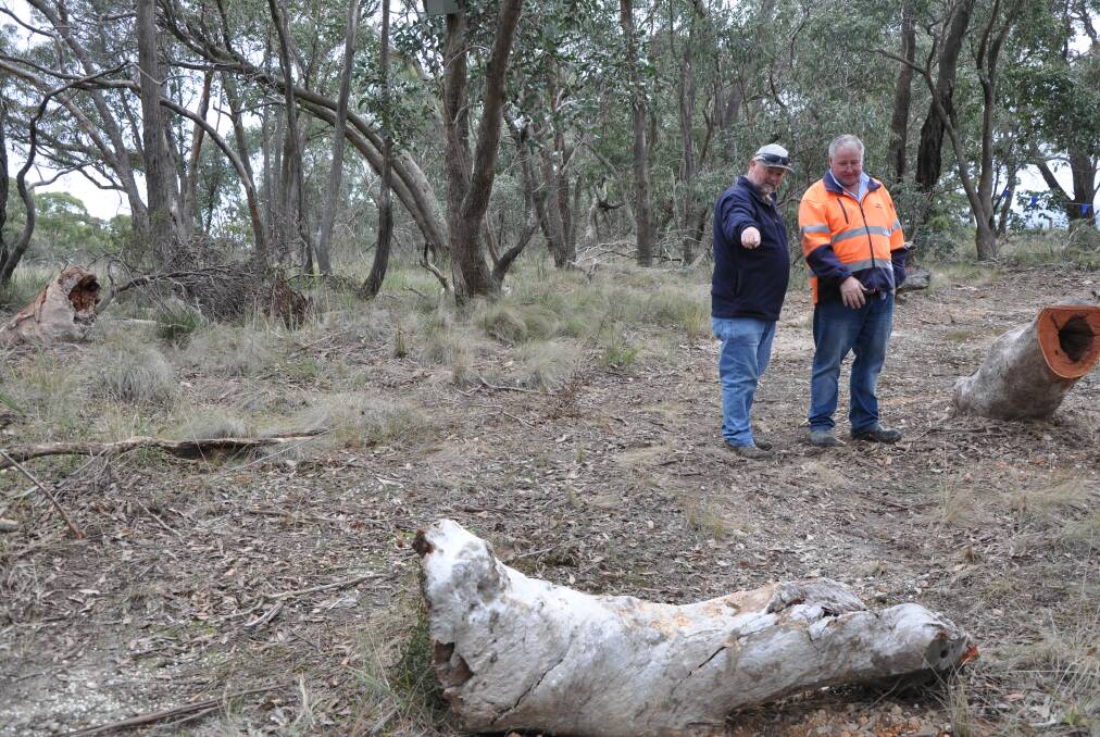 WOODWORK: Western Highway Conservation Group chairman David Leviston and Lendlease's Gerard Toohey inspect new hollow trees installed on the Western Highway.