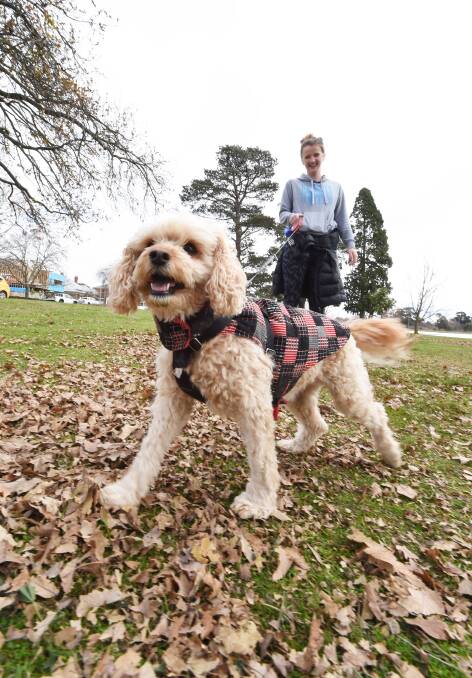 BARKING MAD: An excited Pippa, with owner Marnie Hines, goes out for a walk around Lake Wendouree, with leash firmly in place. Picture: Jeremy Bannister