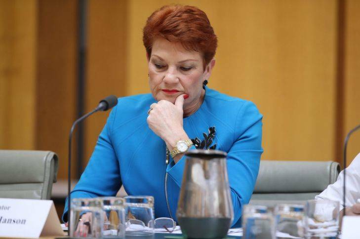Senator Pauline Hanson during Budget Estimates at Parliament House in Canberra on Tuesday 30 May 2017. Photo: Andrew Meares