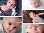 Submit your baby's photo to The Courier