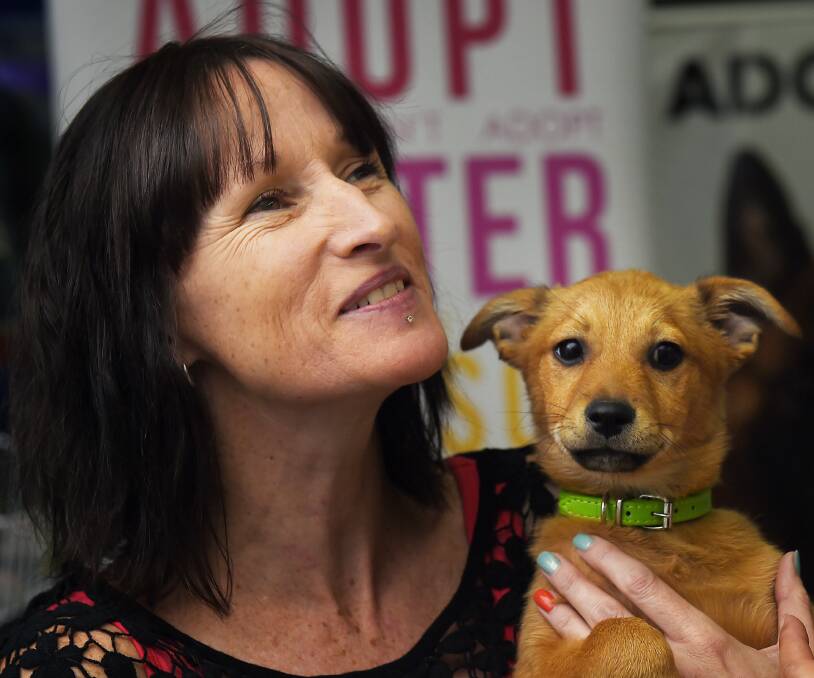 Helping hand: Mel Harris from Best Mate Rescue and Rehoming with Bailey, who she is trying to rehome. PICTURE: Luka Kauzlaric