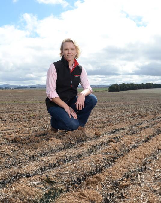 At home on the land: Jo Cameron has become the new executive officer of Cultivate Agribusiness at a tough time for farmers. PICTURE: Kate Healy