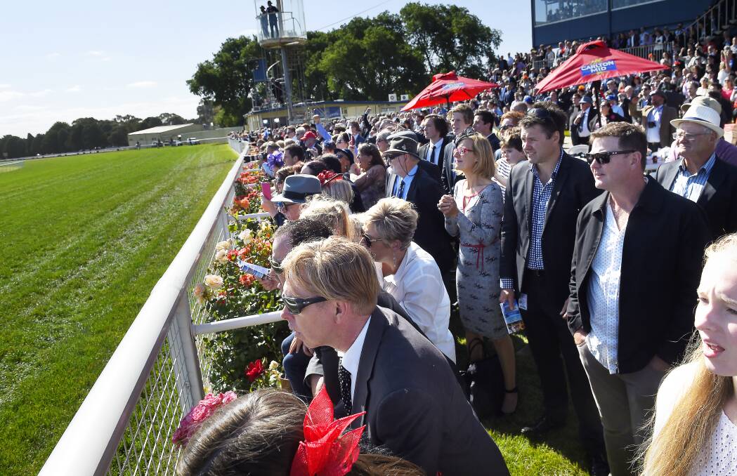 Crowd-pleaser: 11,233 people came to the 2015 Ballarat Cup. PICTURE: Luka Kauzlaric