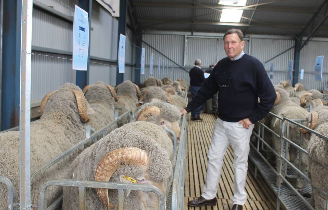 DRY SEASON: Montrose Hill grazier George McKenzie with a lineup of rams at this year's sale. PHOTO: Andrew Miller.