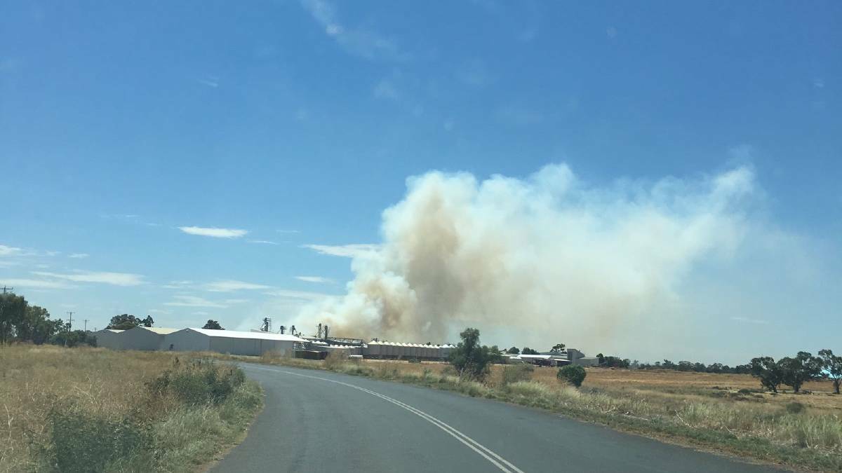The fire burning at Narromine. Photo: CONTRIBUTED