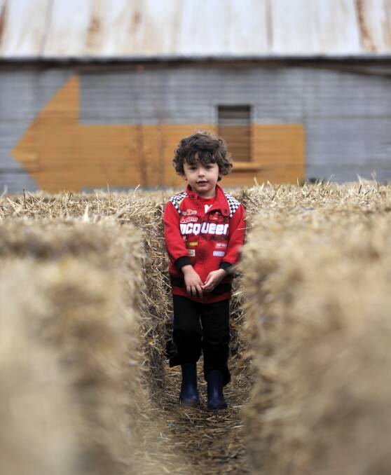 A-mazing: Clunes Booktown wasn't just for grown-up readers, with young fans finding their way through the ever-popular hay-bale maze. Picture: Dylan Burns
