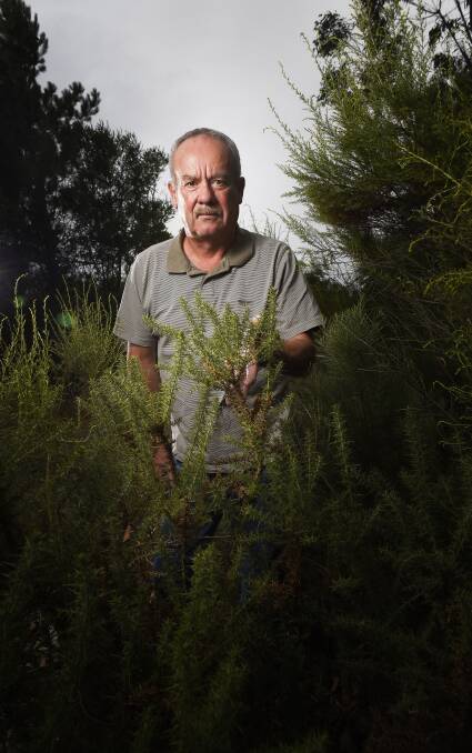 Danger: Mount Clear resident Rick Pope is worried undergrowth along Tinworth Avenue could spark residential fires this summer. Picture: Luka Kauzlaric