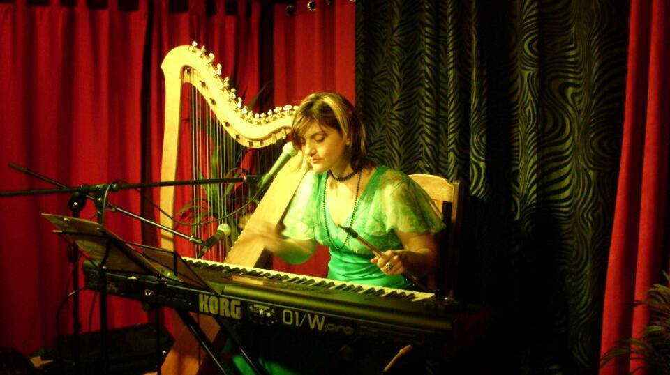 Opportunity: A musician takes to Babushka's stage, a venue known for hosting burlesque, accoustic, poetry, comedy and live music performances. Picture: supplied