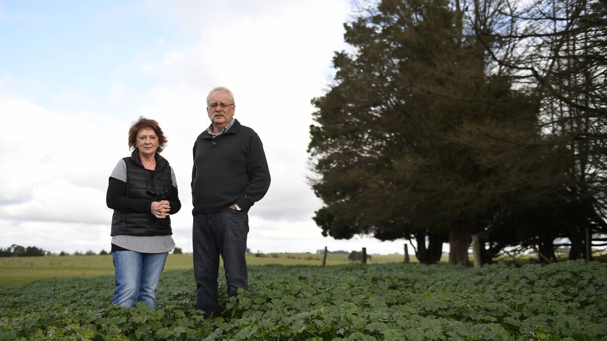 OPPOSED: Eileen McGhee and Werner Orllering of the No-Saleyards for Miners Rest Action Group.  