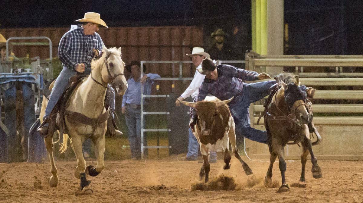 Terry Flute, from Capella, competes in the steer wrestling. Photo: Hannah Hacon.
