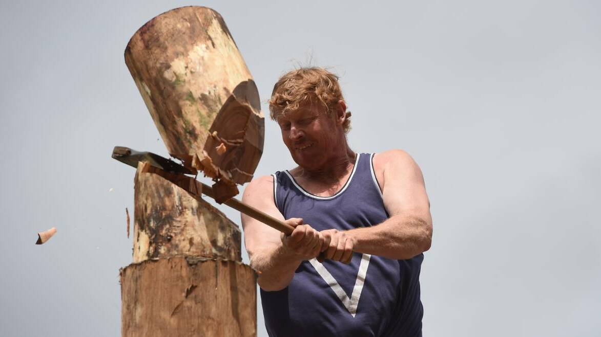 Precision: Ivan Huston from Redesdale breaks through a log in the wood chopping event at the Glenlyon Sports Club's Mixed Sports Day on Sunday. Picture: Kate Healy.
