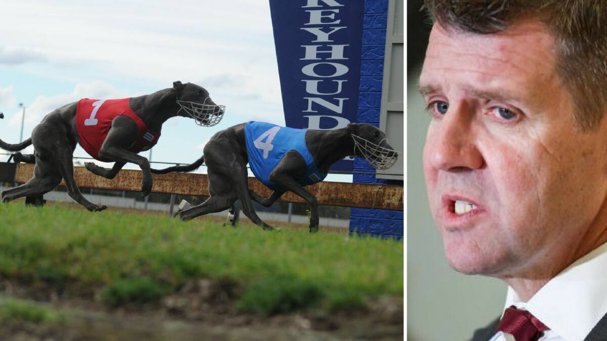 ‘I got it wrong’: Mike Baird on greyhound racing ban