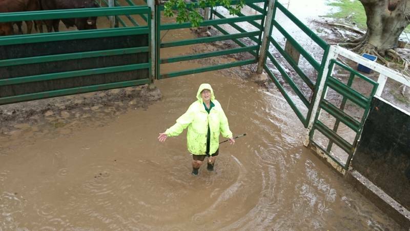 It wasn't exactly flooding but record-breaking rain. Water topped Sandra Eagle's gumboots at the Blackall saleyards. Photo: Sally Cripps.