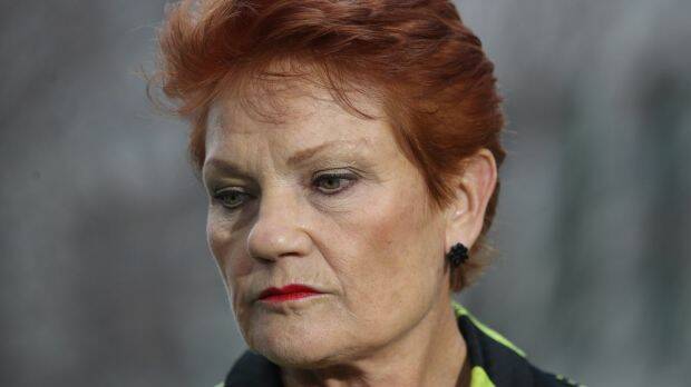 Senator Pauline Hanson during a press conference at Parliament House Canberra on June 22, 2017. Photo: Andrew Meares 
