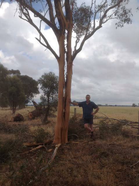 LIGHTNING STRIKE: Leigh Hercus stands next to a tree which was split in two after being struck by lightening on his farm at Eastville.

'We heard it from one kilometre away from our house,' his wife Kerry Punton said. 'The bark was completely blown off and the tree cracked in half.'