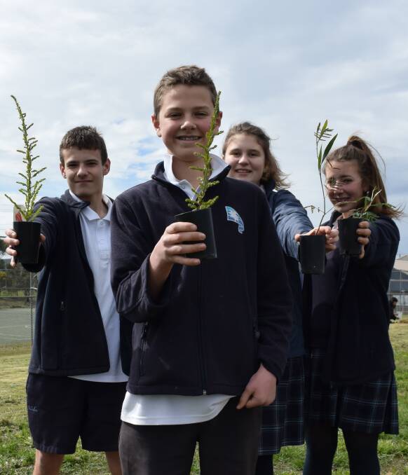 CONSERVATION: Students Jake Cunningham, Ryan Quayle, Hannah Drew and Renae Glover prepare to plant trees at Ballarat Secondary College Wendouree campus as part of a tree planting day. Picture: Erin Williams