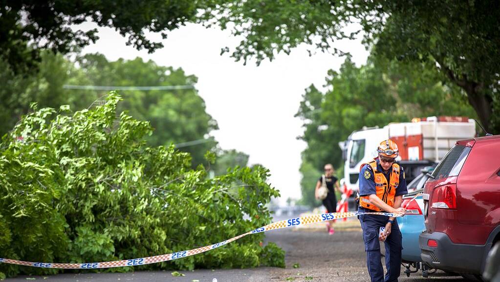 Emergency service workers tape of an area in Lyons Street South where trees fell on parked cars. Picture: Randal Smith