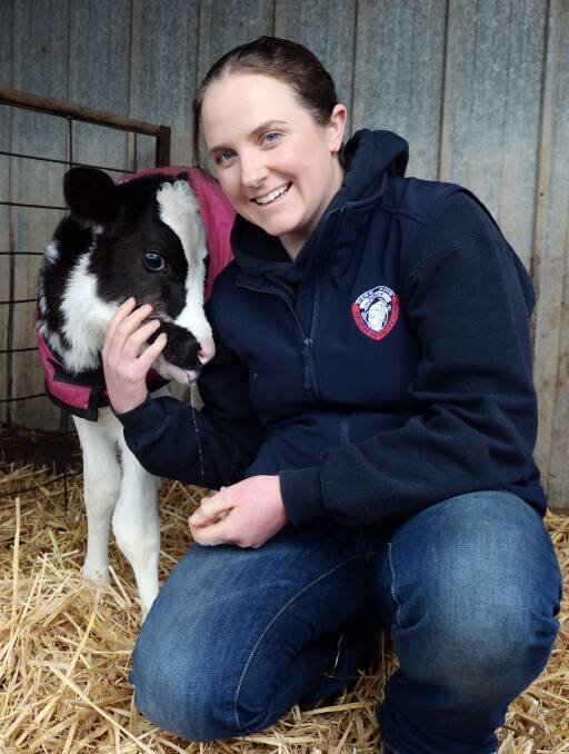 TRUE LOVE: The Ballarat Agricultural and Pastoral Society's youngest president Kerri Gallagher feels most at home on her farm with calf Bella. Picture: Kate Healy 