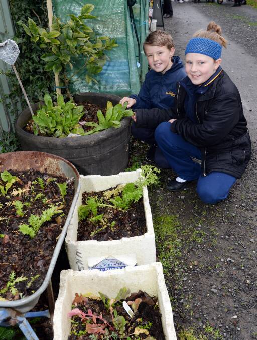 TENDING TO THE GARDEN: Canadian Lead Primary School pupils Klayton and Scarlet, both 9, tend to the herbs in the Food is Free laneway. Picture: Kate Healy 