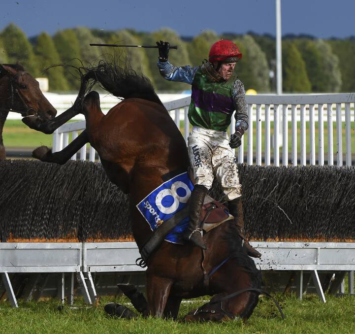 BIG FALL: The danger of horse racing is back in the spotlight and the subject of Government research with incidents like this fall by Slowpoke Rodriguez at a recent Ballarat jumps event grabbing attention. Picture: Luka Kauzlaric 