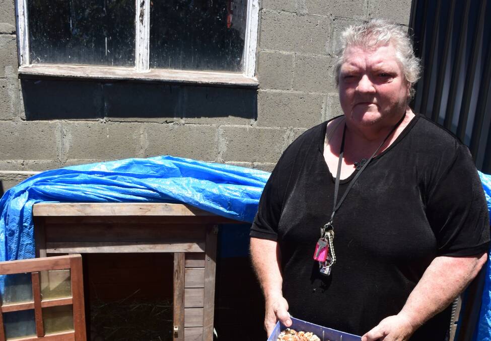 RETURN THE CHICKENS: Lesley Alexander is pleading to the thieves who stole her chickens to return them unharmed. 