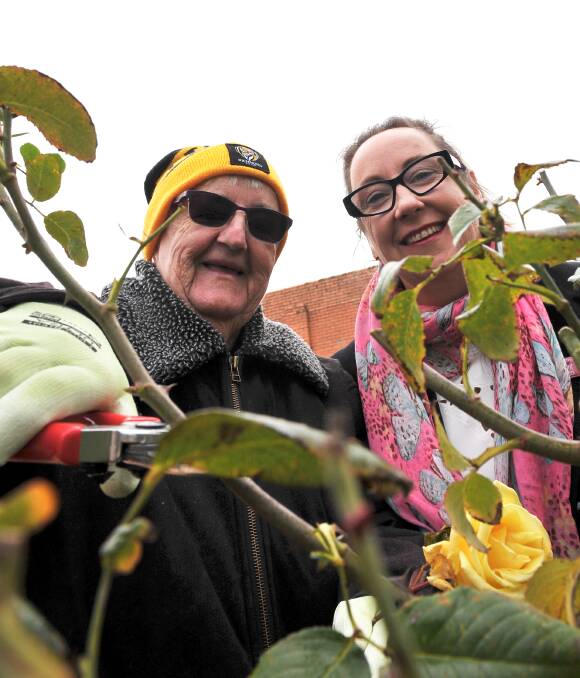 ROSE AMONG THORNS: Bev Squire and Ballarat General Cemeteries CEO Annie De Jong prune some of the 2000 roses at the Ballarat Cemetery. Picture: Lachlan Bence