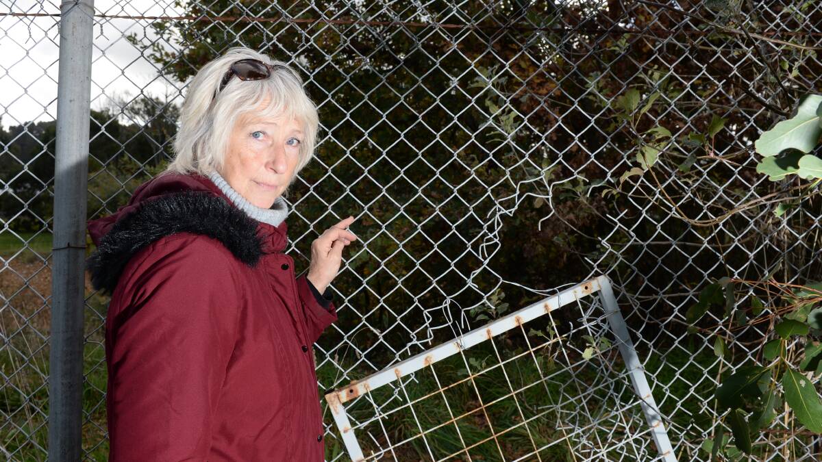 Sheilagh Kentish points to where crooks broke in last Sunday night.
