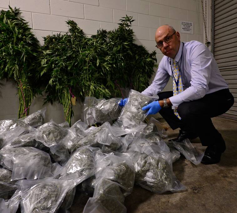 SEIZED: Detective Inspector Kim Steven with the haul of cannabis discovered at a property near Smithton. Pictures: Phillip Biggs