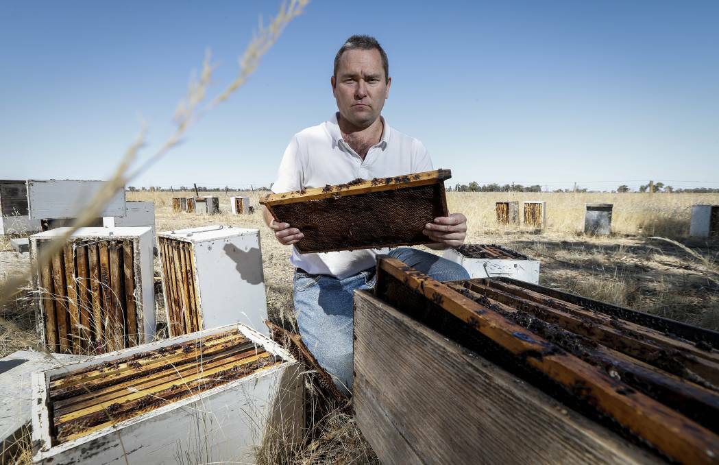 70 hives have been stolen from the Berrigan property where Yarrawonga's Jason Partelle keeps his bees. Picture: JAMES WILTSHIRE