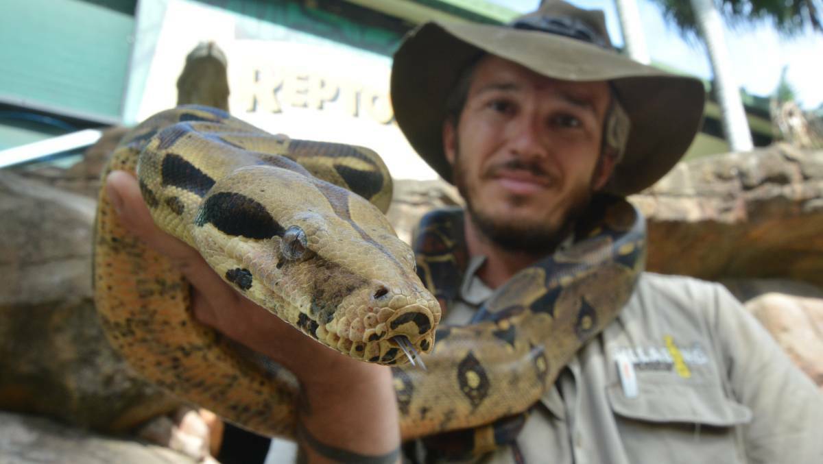 Snake expect Stuart Johnson of Reptile Solutions and the Billabong and Koala Wildlife Park.