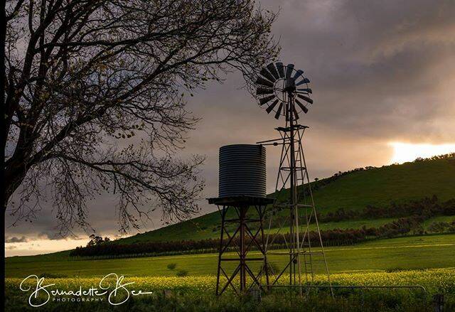 Photo of the day: Simply upload your photo each day with the hashtag #ballarat to be in the running for your photo to appear. Today's #picoftheday is by @bernadette_bee_photography