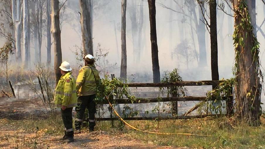 Crews from the National Parks and Wildlife Service, on Old Swan Bay Road. Photo: Ian Kirkwood
