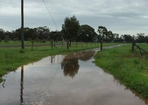 There was no work or school for one family today when the driveway on their property, north of Bendigo, flooded under the deluge. Click on the photo for more from the Bendigo region.
